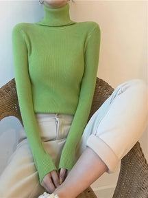 Blusa Canelada Gola Alta Geneve